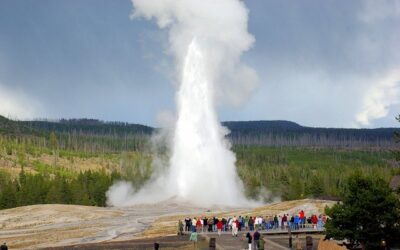 How Many People Visit Yellowstone Park Each Year?